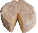 saint marcellin cheese