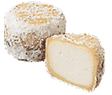 crottin chavignol cheese
